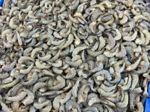 Contenedor de camarón sinaloense de mar