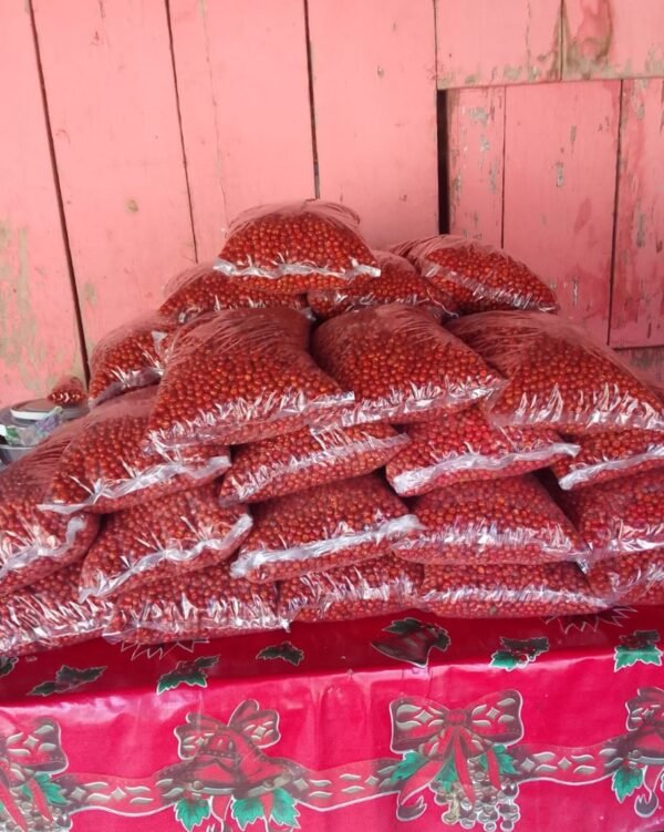 chiltepin-sierreno-0002 Contenedor de chile chiltepín sierreño