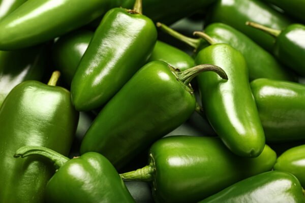 Contenedor de chile jalapeño