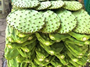 Contenedor de nopal fresco