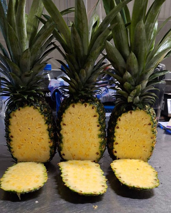 pina-0003 Contenedor de piña