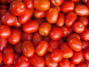 Contenedor de tomate rojo