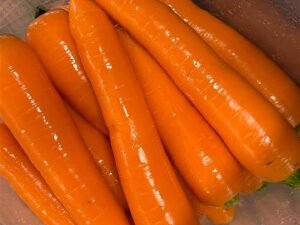 Contenedor de Zanahoria