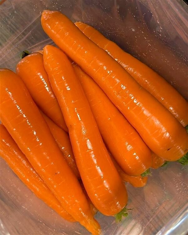 Contenedor de Zanahoria