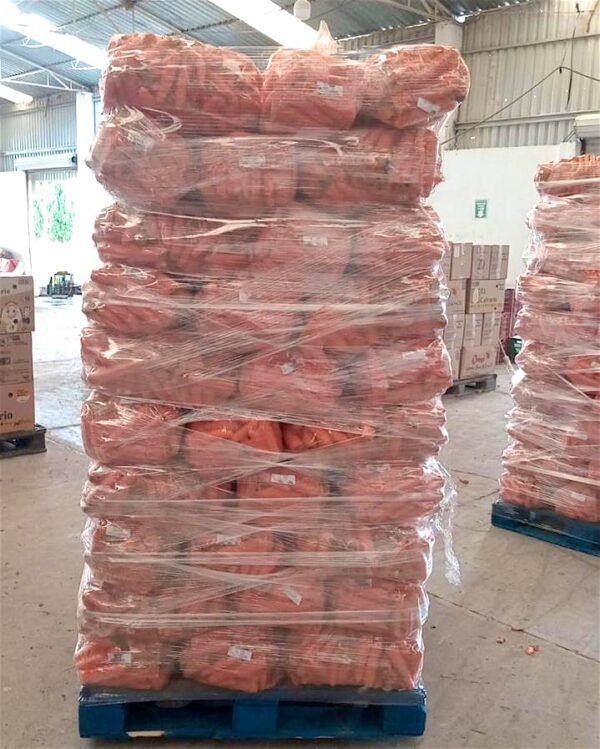 Contenedor de Zanahoria