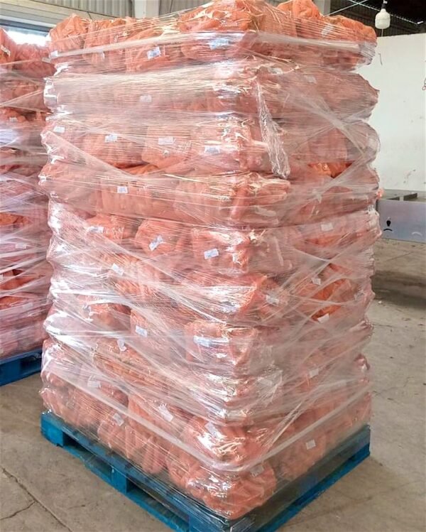 Contenedor de Zanahoria