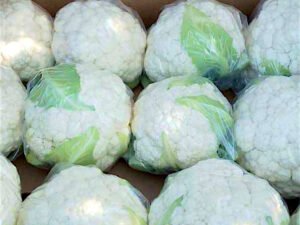 Contenedor de coliflor