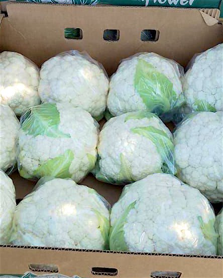 coliflor-0001 Contenedor de coliflor