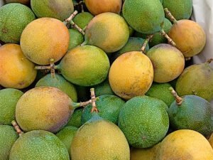 Contenedor de granadina