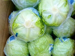 Contenedor de lechuga roma