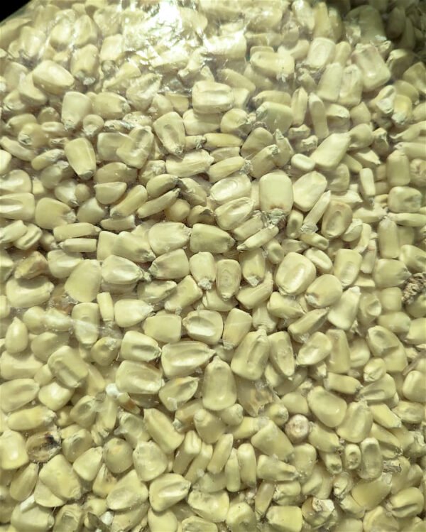 Contenedor de maíz blanco encostalado