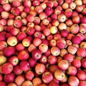 Contenedor de mazana gala