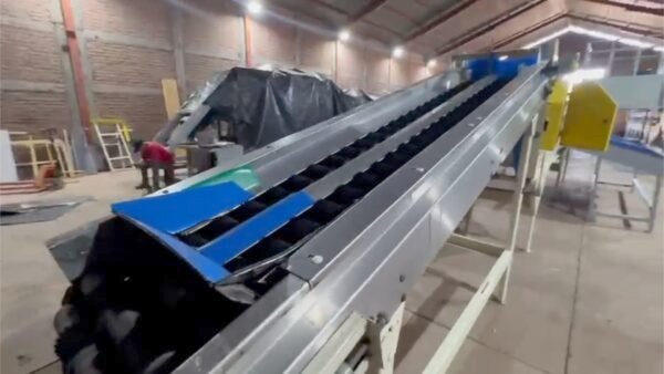 Máquina clasificadora de morrones