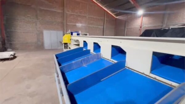 Máquina clasificadora de morrones