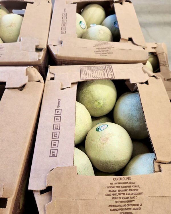 Contenedor de melón chino de exportación