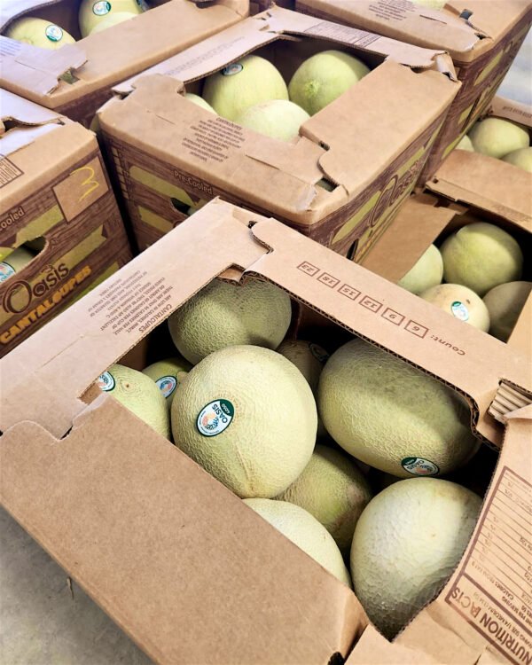 Contenedor de melón chino de exportación