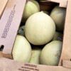 Contenedor de melón chino de exportación