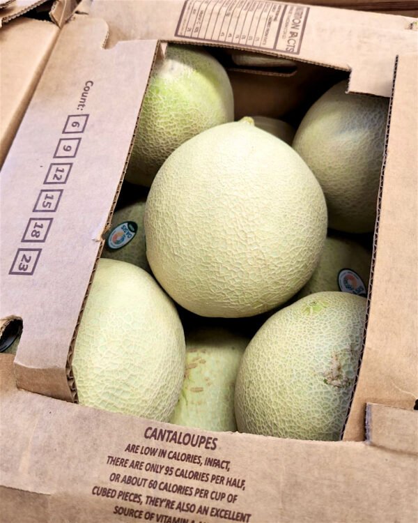 Contenedor de melón chino de exportación