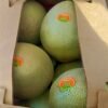 Contenedor melón chino cantaloupe
