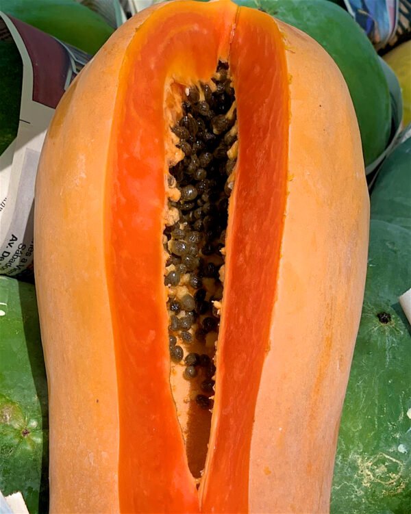 Contenedor de papaya pasión red